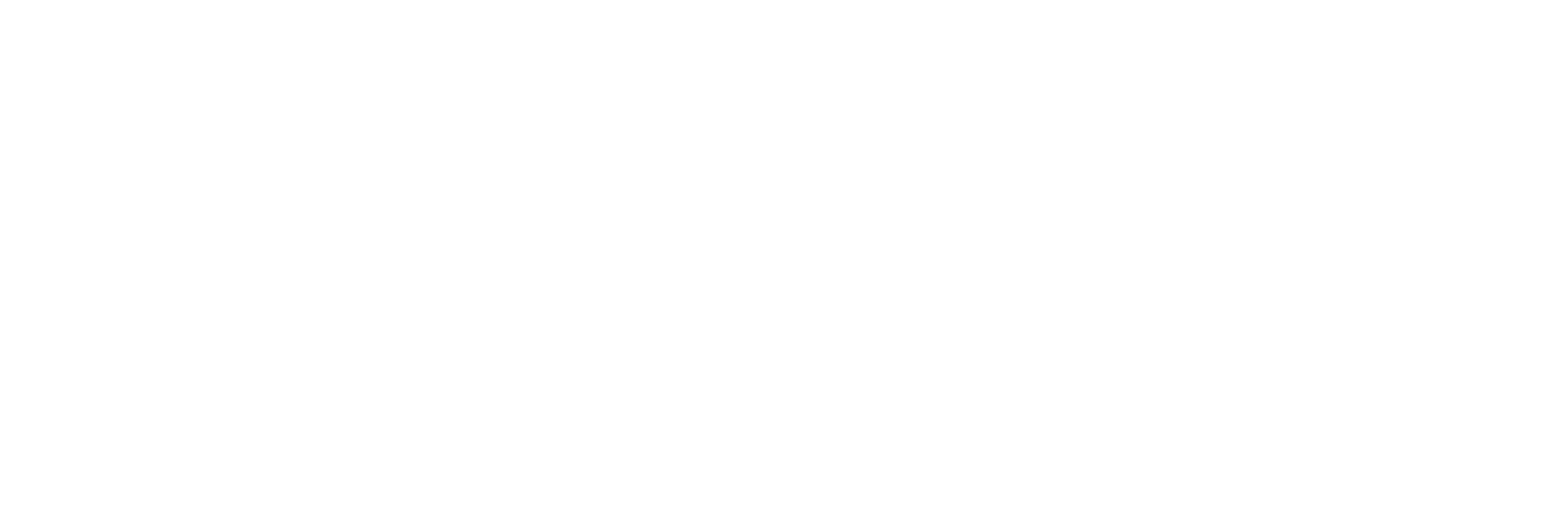 Omniit Logo White